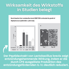 Sanfte Reinigungsmilch